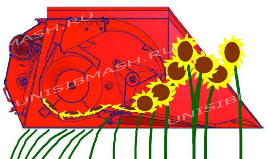 Принцип работы жатки НАШ-7,4 безрядковой для уборки подсолнечника